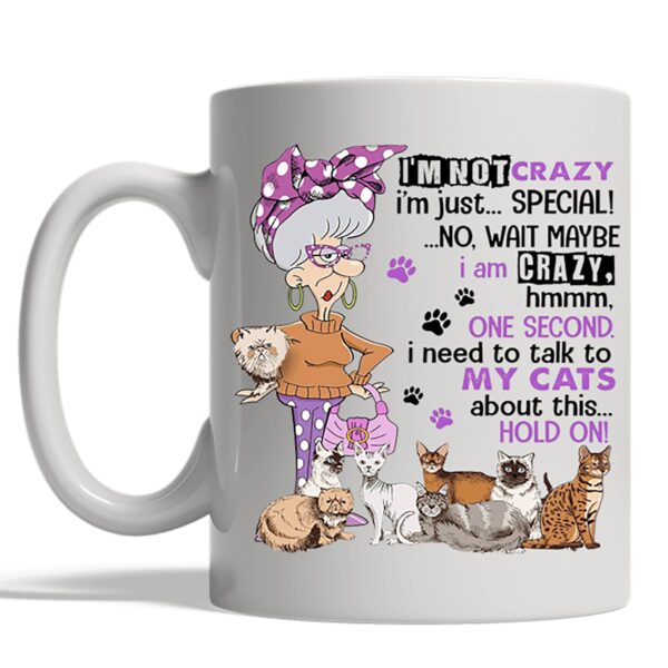 Cat Lovers Coffee Mug, Gift for Cat Lover, Cat Mom, I’m not crazy I’m just special I need to talk to My Cats